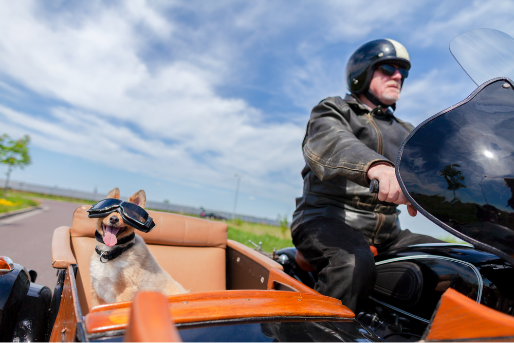 shutterstock_1084641965